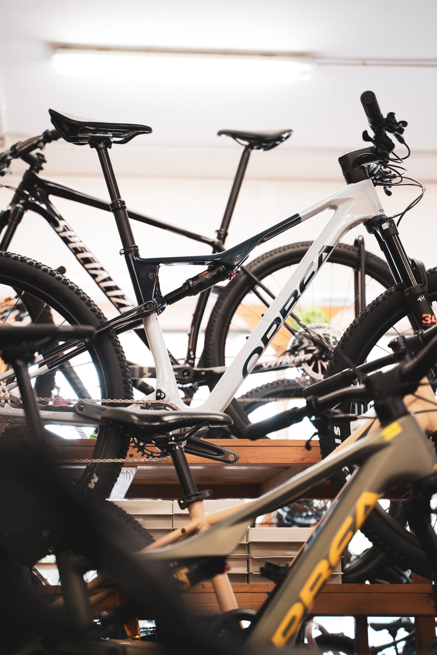 Bicicletas